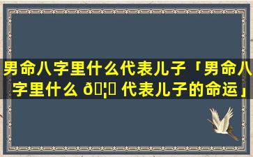 男命八字里什么代表儿子「男命八字里什么 🦅 代表儿子的命运」